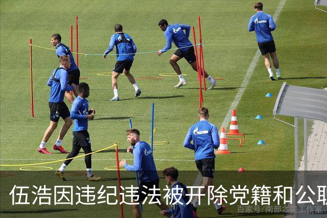 伍浩因违纪违法被开除党籍和公职